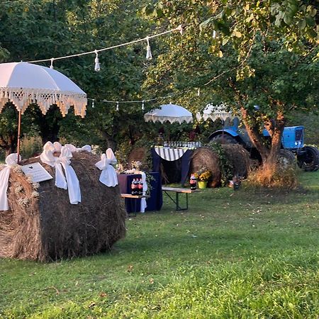 Guest House Zirga Smaids Kusneri Bagian luar foto