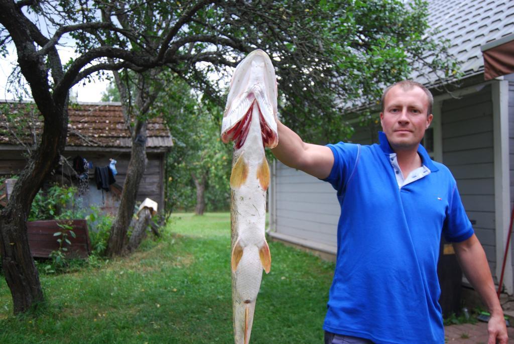 Guest House Zirga Smaids Kusneri Bagian luar foto